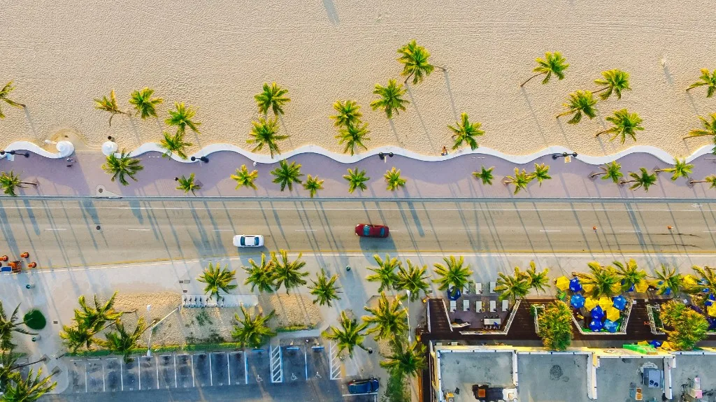 Aerial view of a palm-lined beach promenade and coastal road in Fort Lauderdale, Florida