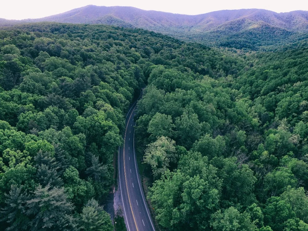 Aerial view of a road winding through lush green forest in the Blue Ridge Mountains of Virginia